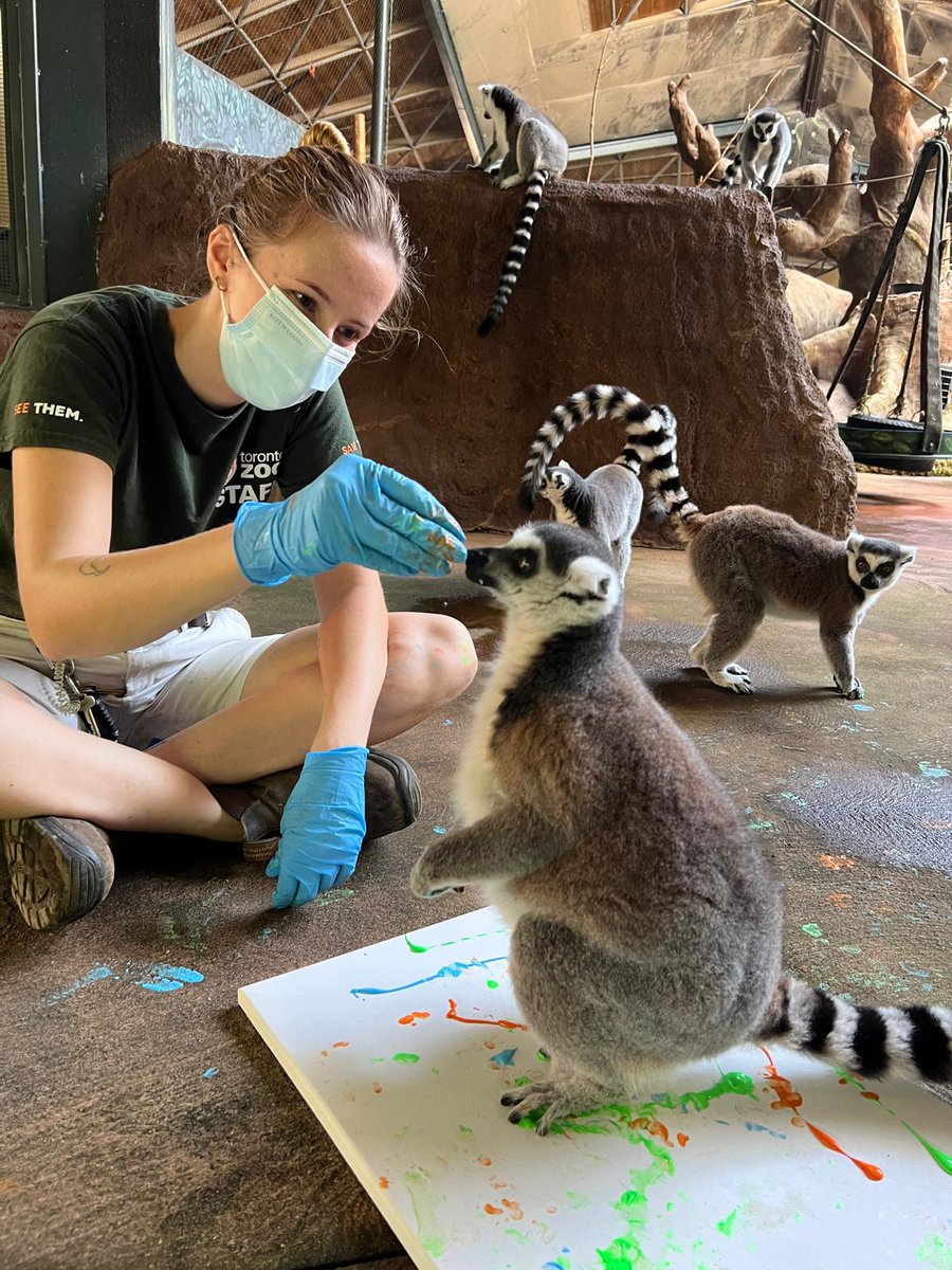 Toronto Zoo Wildlife Conservancy tweet media