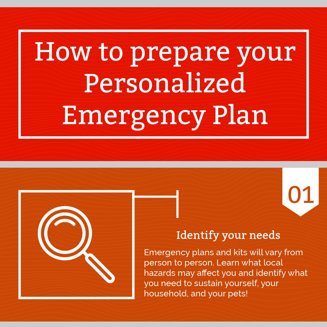 ncstatefls's tweet photo. 📄 Make a Plan
💼 Pack a Bag
⚠️ Take Action

These are the essential components of emergency preparedness. Your personalized emergency plan should be tailored to your needs. Check out this step-by-step plan to help you get #PackReady today!

#WolfPack #BePackReady #NCState2028 https://t.co/aUmOicGCgv