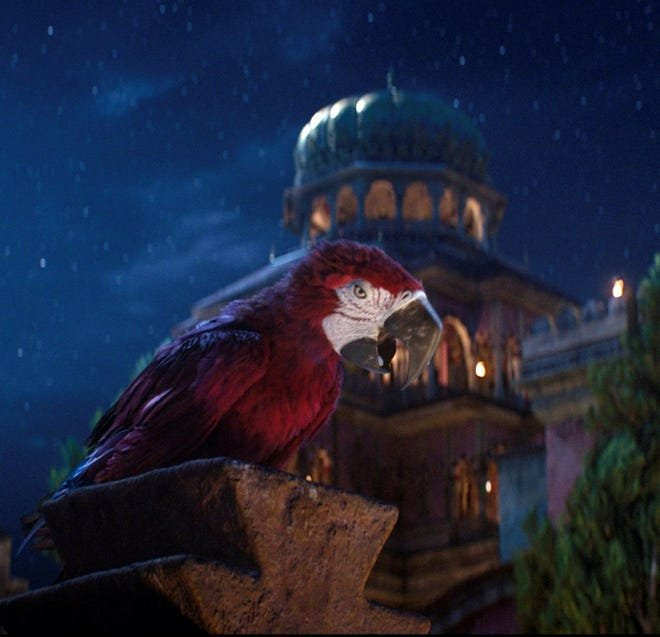 PedroHTunes's tweet photo. Um que sempre me irritou muito totalmente de graça e sei que é chatice extrema, mas o Alladin original se passa no século XV segundo a Disney e já me irritava por ter uma arara das américas lá. Aí vem o live action e taca um macaco brasileiro pra ser o Abu 😭 https://t.co/SfHl4GRoV2
