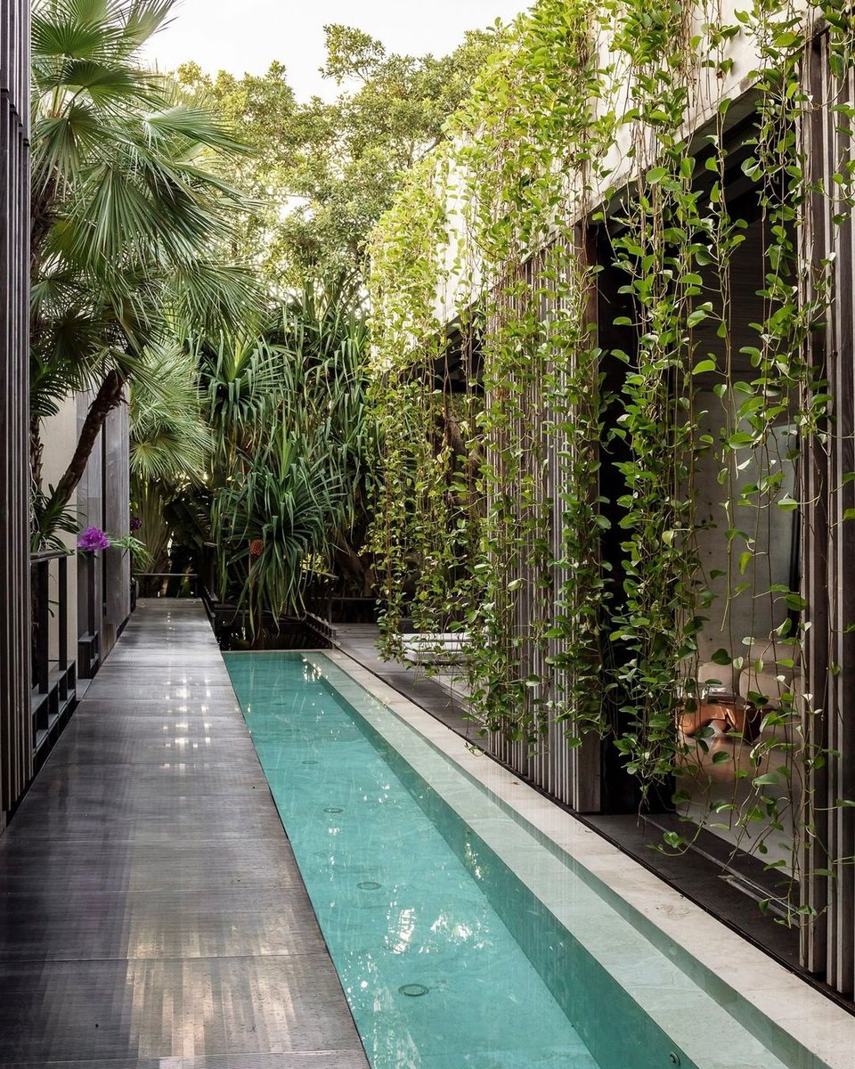 espacioyconfort's tweet photo. Esta residencia de @ReneGonzalezArchitects fue diseñada para abordar la subida del nivel del mar y por eso está elevada. La casa toca ligeramente el suelo. https://t.co/BGhupE851H