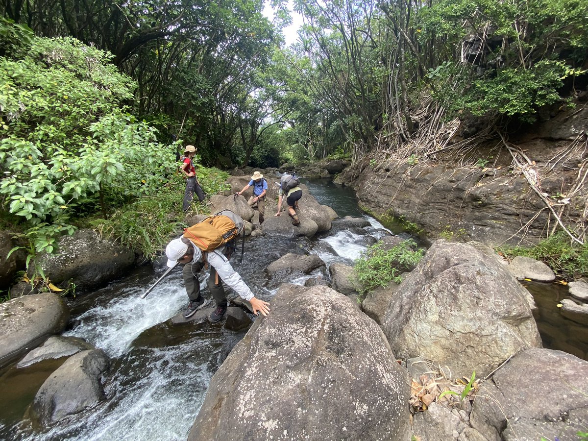 Emma Lodes tweet media