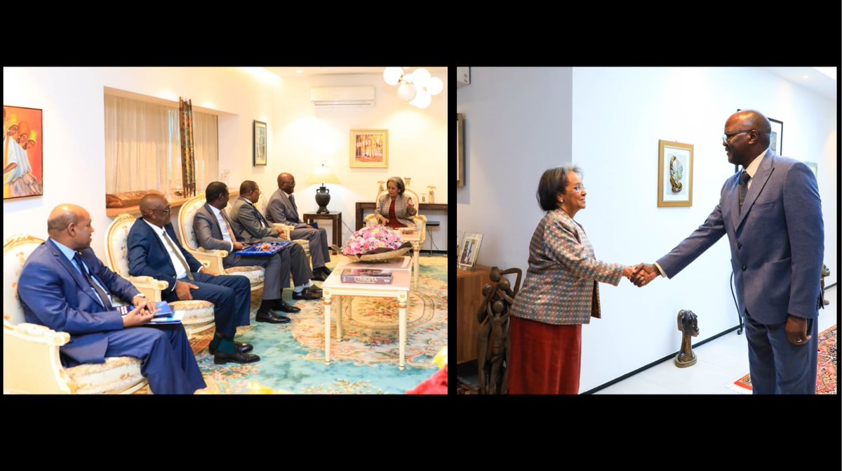 It was a pleasure to be back in Ethiopia and an honor to be part of the official delegation, led by His Excellency the Minister of Health of Niger, that met with the President of the Federal Democratic Republic of Ethiopia, Her Excellency Sahle-Work Zewde. I sincerely thank