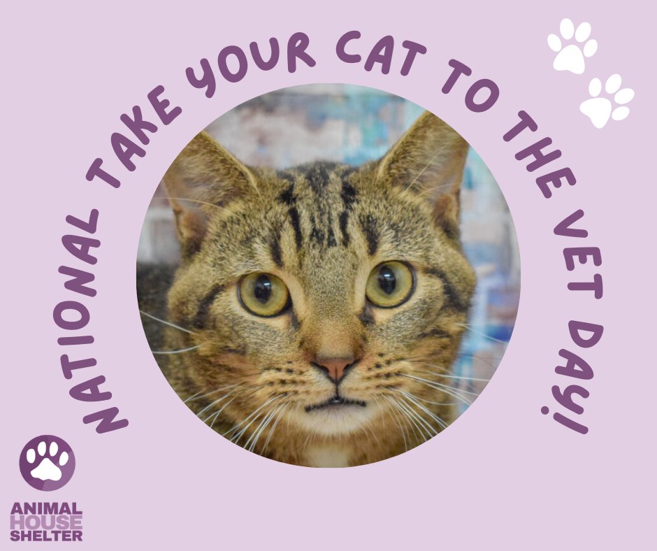 Animal House Shelter tweet media