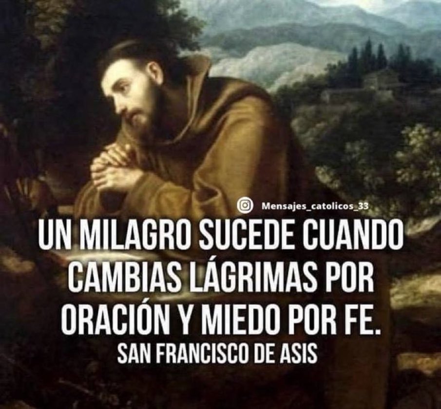 frasescatolic00 tweet picture
