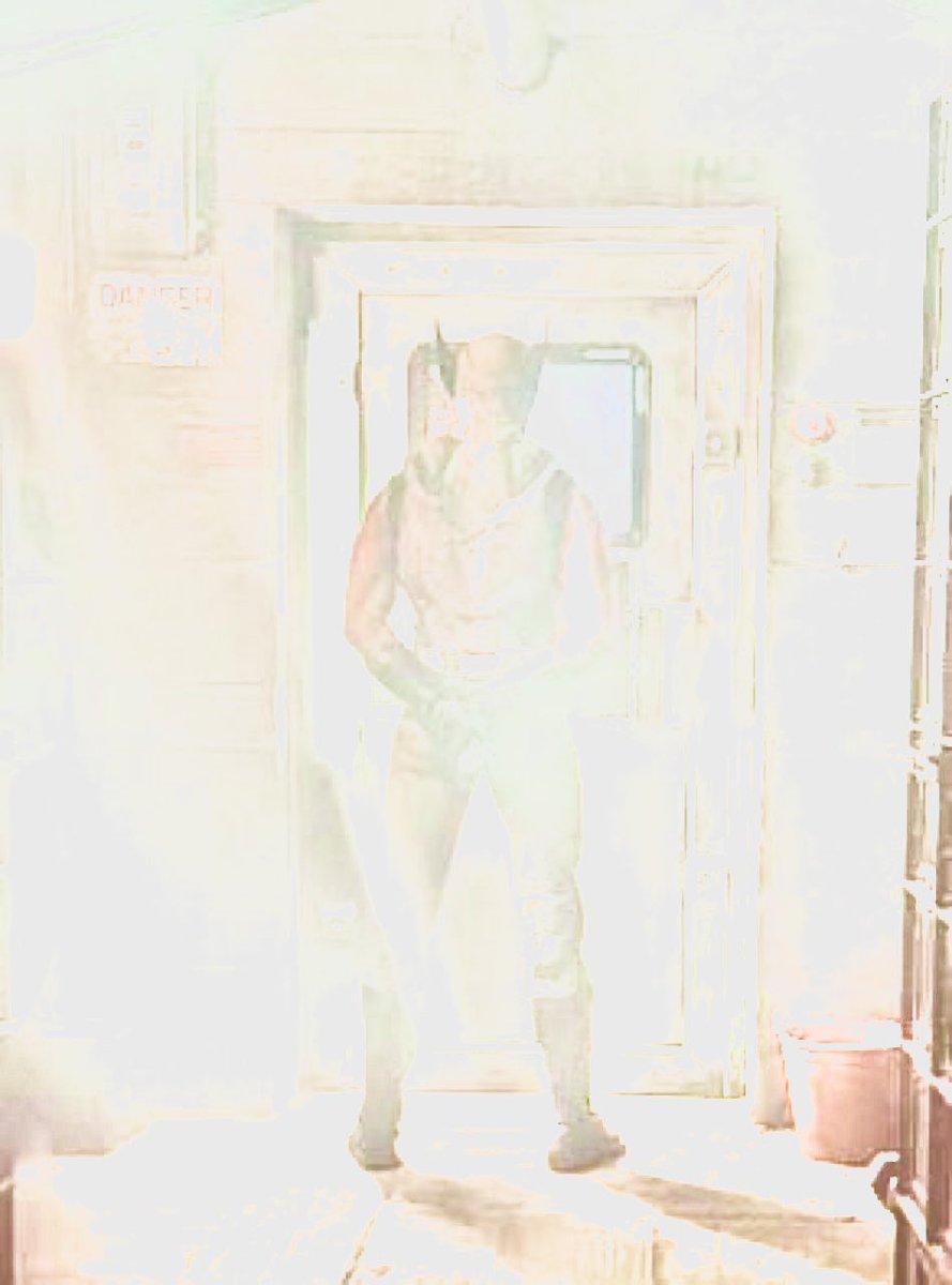 birdpatch's tweet photo. @AidanMulshine Seemed a little underexposed so I tried to fix it up in Lightroom real quick do u like it better now? https://t.co/Oi8scwyFHX