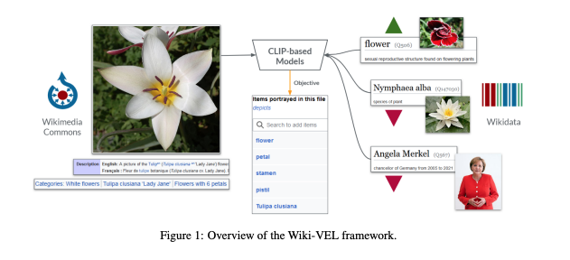 "Wiki-VEL: Visual Entity Linking for Structured Data on Wikimedia Commons" predicting labels for Wikimedia Commons images based on Wikidata items as the label inventory.

(Bielefeld et al, 2024)

aclanthology.org/2024.alvr-1.16…

<a href="/frimelle/">Lucie-Aimée Kaffee</a> <a href="/gdm3000/">Gerard de Melo</a>