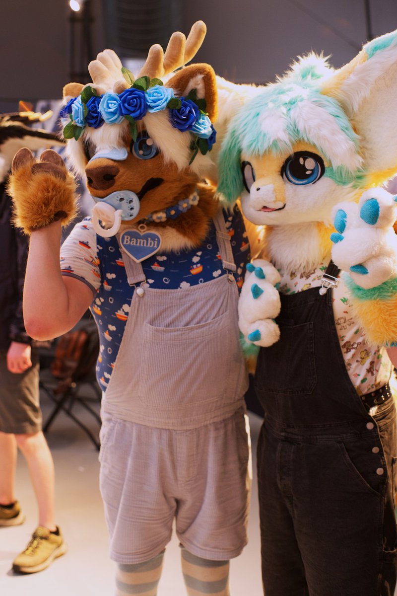 BabyPupOllie's tweet photo. Some photos some talented furs took of me and @SmolLimeNursery at the @FierceFurriesTO event at the Toronto Zoo! https://t.co/9745TZbPXJ