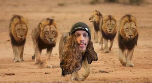 turns out I was the 7th lion all along 

out at midnight