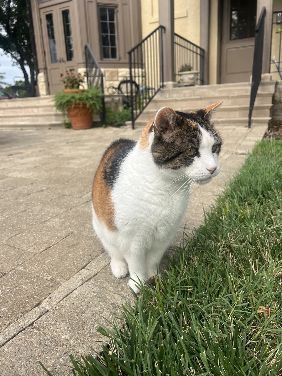 In ferocious protector of Cedar Crest mode.