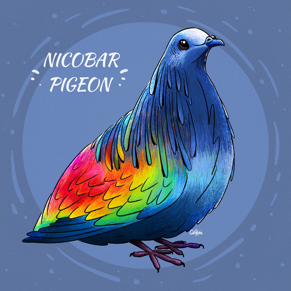 CatRobi2's tweet image. #AvianAugust2024 🌈