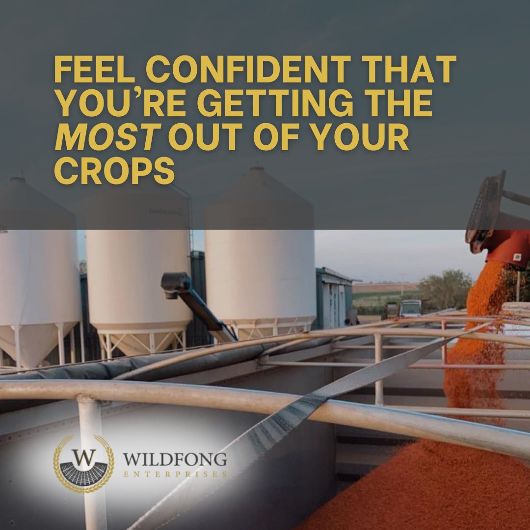 Know that your combine is giving you the best thresh possible!  

Our concaves are designed specifically for hard-to-thresh crops. 

Learn more at wildfongenterprises.com/concaves/ today and give us a call if you have any questions: (306) 260-2833 

#RiceFarmers #GrainFarmers #Ag