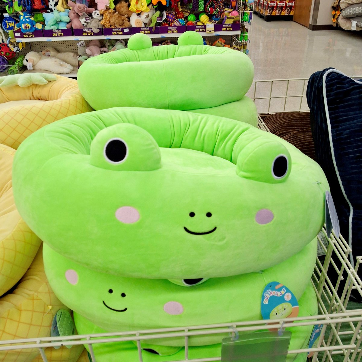 Blain's Farm & Fleet tweet media