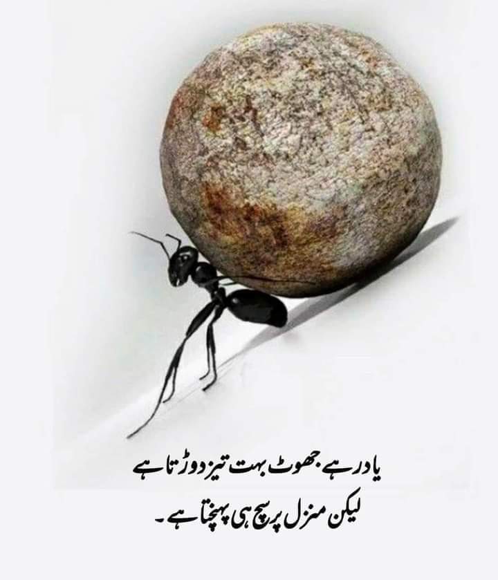 Hamza Ali tweet media