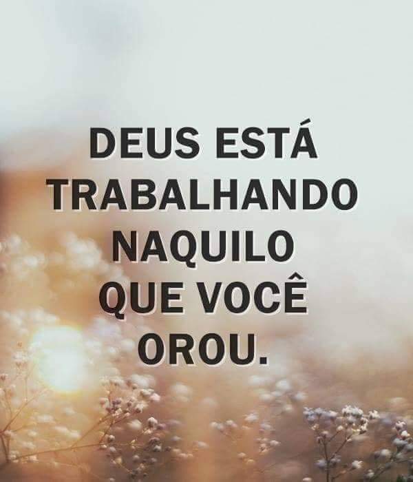 Alexandre (@alexand85081112) on Twitter photo 