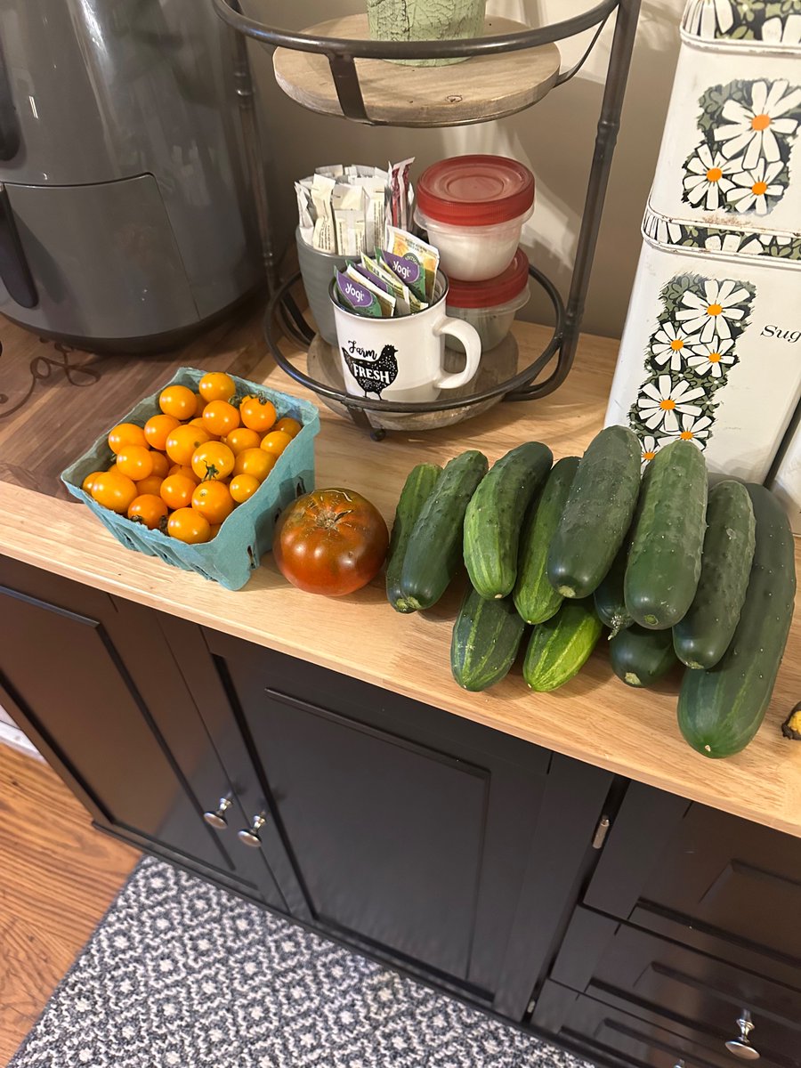 Laurel Mountain Man tweet media