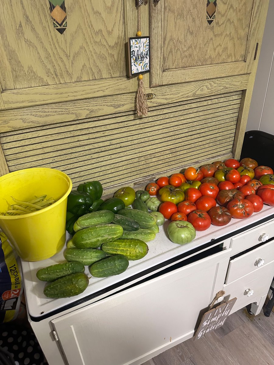 Laurel Mountain Man tweet media