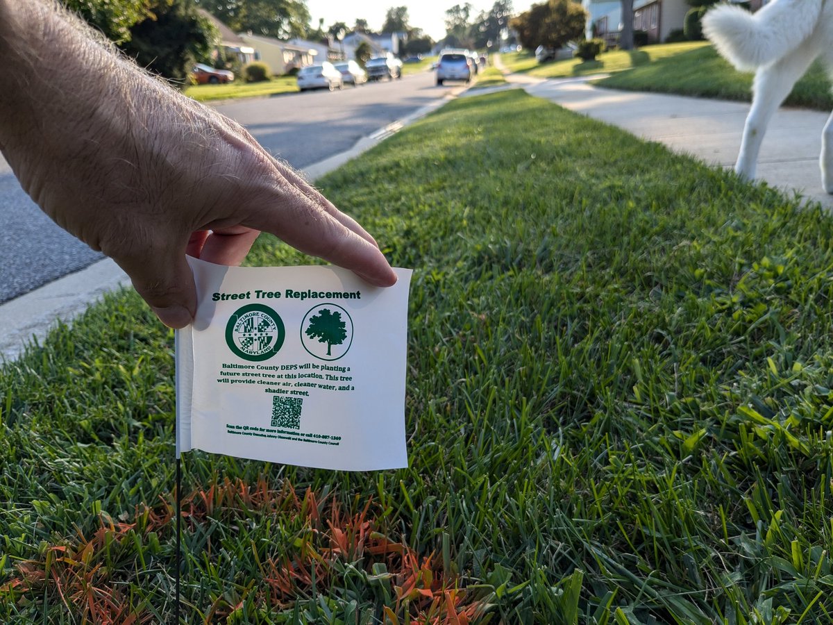DocTsuga's tweet photo. Our neighborhood is being targeted by the county for some street tree planting. We think this is great, especially on our street that doesn't currently have any street trees, but know that not all of our neighbors agree. Thank you @BaltCoGov 
https://t.co/kEMaVZ5saL https://t.co/39Dug2CGM1