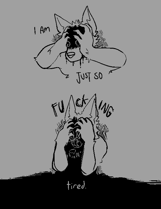 howls 🌕🦴 tweet media