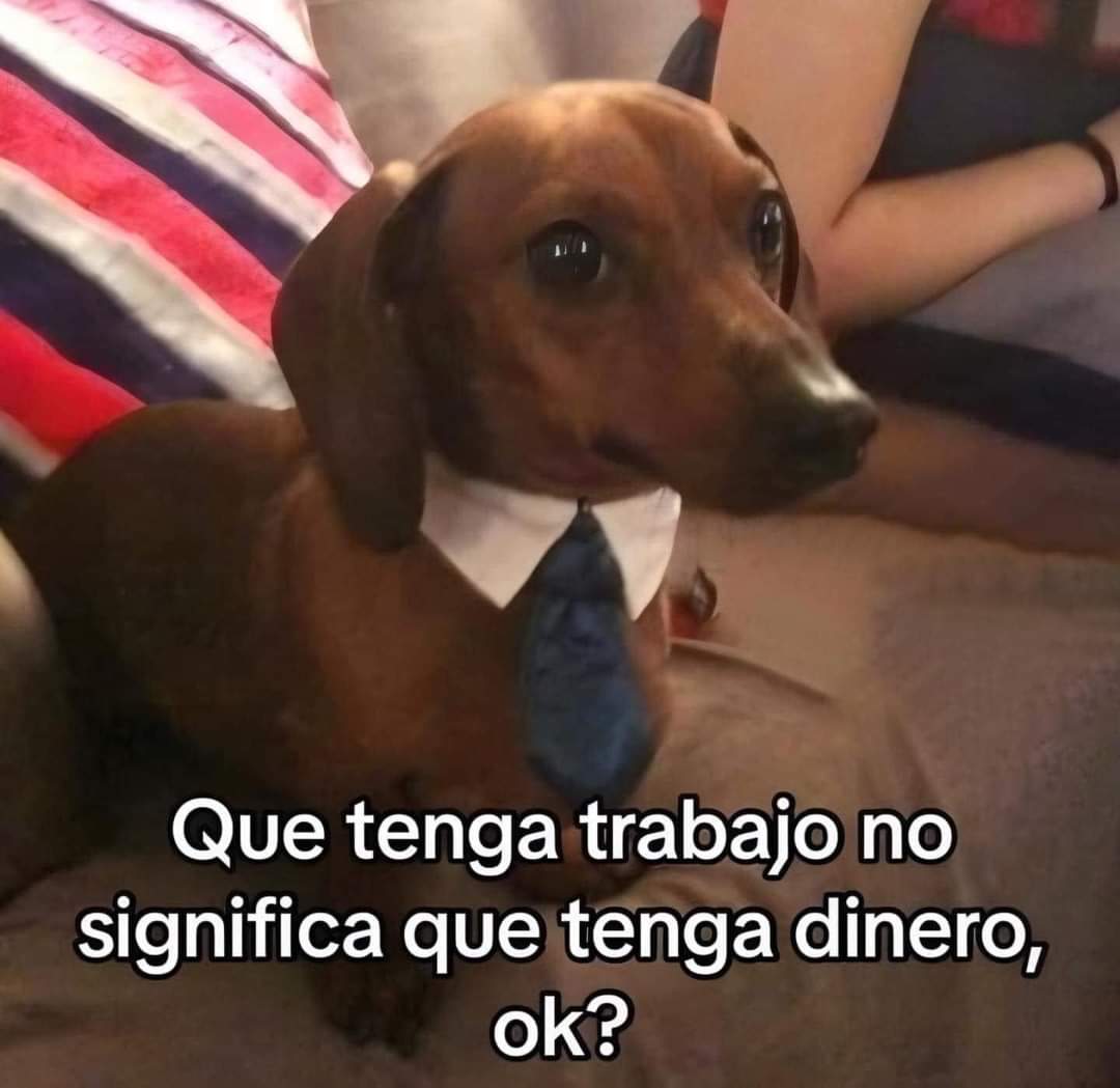 nacional_memes's tweet image. No confundir