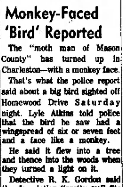 AParanormalTale's tweet image. Mothman in Charleston 2: A Monkey-Faced Bird dlvr.it/TCG2sZ