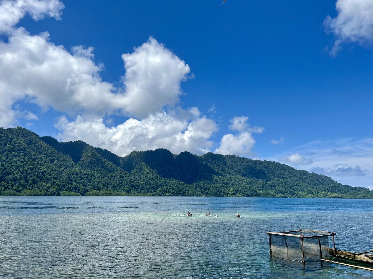 Benjamin Utting (우승준) (@benjaminutting) on Twitter photo Raja Ampat fieldwork 2024! <a href="/InsideNatGeo/">National Geographic Society</a> <a href="/NMNH/">Smithsonian NMNH</a> <a href="/HumanOrigins/">Human Origins at SI</a> <a href="/school_of_arch/">Oxford School of Archaeology</a> <a href="/univienna/">Universität Wien</a> <a href="/WUR/">Wageningen U&R</a> <a href="/ourANU/">ourANU</a> <a href="/UGMYogyakarta/">UGM</a> <a href="/brin_indonesia/">BRIN Indonesia</a> #archaeology #anthropology #rajaampat #waigeo #natgeo #indonesia Raja Ampat fieldwork 2024! <a href="/InsideNatGeo/">National Geographic Society</a> <a href="/NMNH/">Smithsonian NMNH</a> <a href="/HumanOrigins/">Human Origins at SI</a> <a href="/school_of_arch/">Oxford School of Archaeology</a> <a href="/univienna/">Universität Wien</a> <a href="/WUR/">Wageningen U&R</a> <a href="/ourANU/">ourANU</a> <a href="/UGMYogyakarta/">UGM</a> <a href="/brin_indonesia/">BRIN Indonesia</a> #archaeology #anthropology #rajaampat #waigeo #natgeo #indonesia