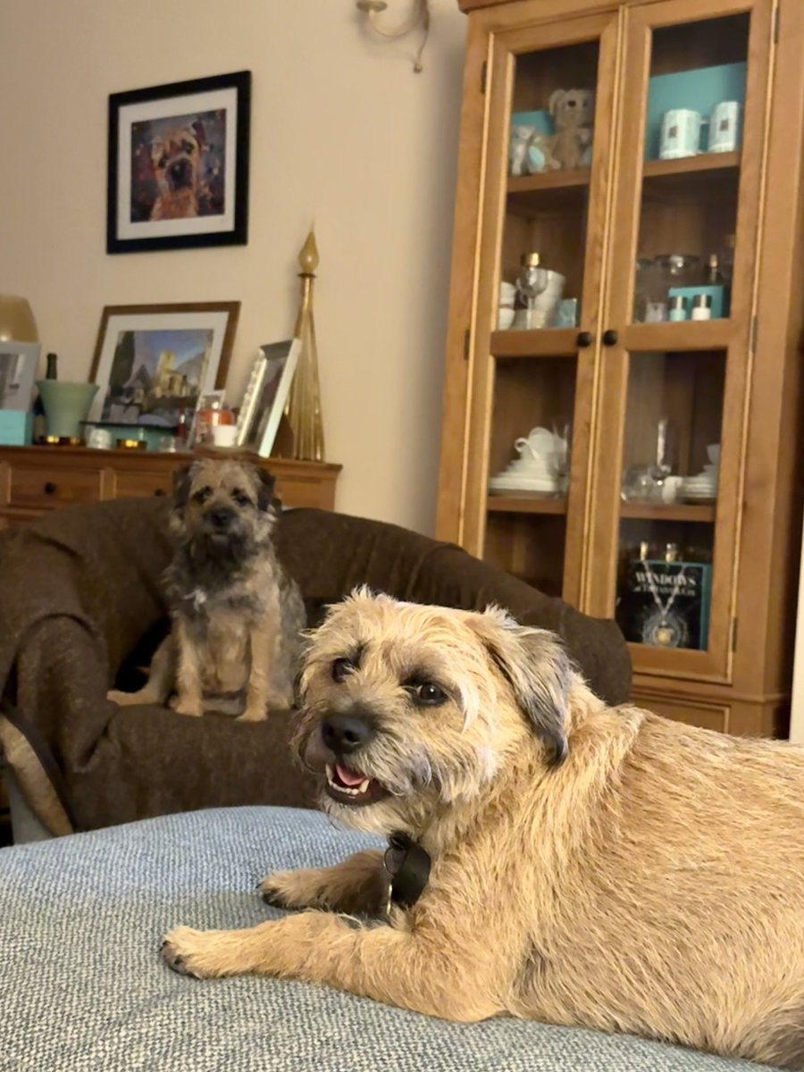 PupButterwick 🇬🇧 tweet media