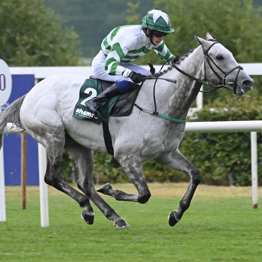 Ciaran Murphy Charlestown Racing (@cmcracing_ie) on Twitter photo Great evening <a href="/LeopardstownRC/">Leopardstown RC</a> for the Ask Dot Syndicate with Walhaan winning the Shamrock Enterprises Handicap. Super ride by Darragh OโSullivan and very happy connections ๐
Well done to the team at home, all the hard work paying off ๐
#poweredbybluegrass #ARKequine Great evening <a href="/LeopardstownRC/">Leopardstown RC</a> for the Ask Dot Syndicate with Walhaan winning the Shamrock Enterprises Handicap. Super ride by Darragh OโSullivan and very happy connections ๐
Well done to the team at home, all the hard work paying off ๐
#poweredbybluegrass #ARKequine