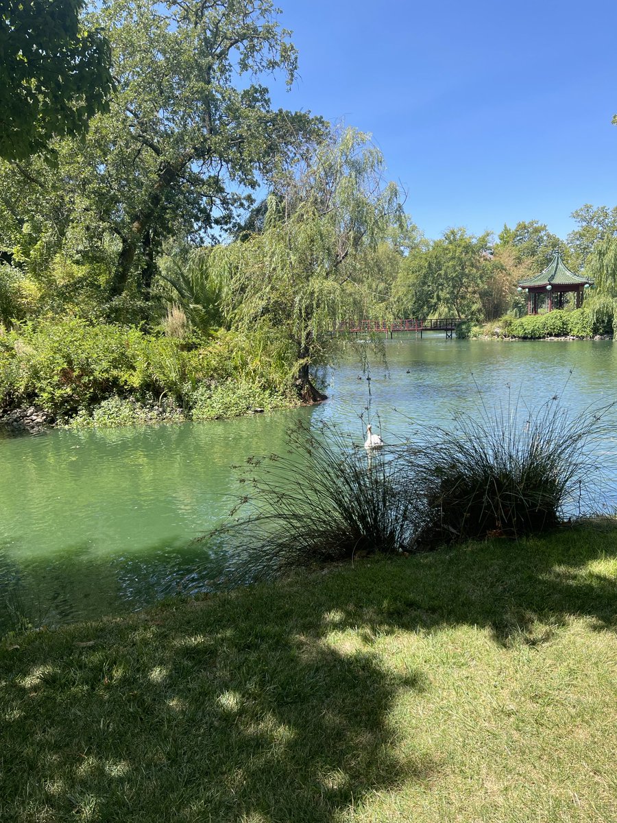debbritz's tweet photo. Tranquil setting #ChateauMontelena #napavalley #vineyard #calforniadreaming https://t.co/weoZU6FdK0