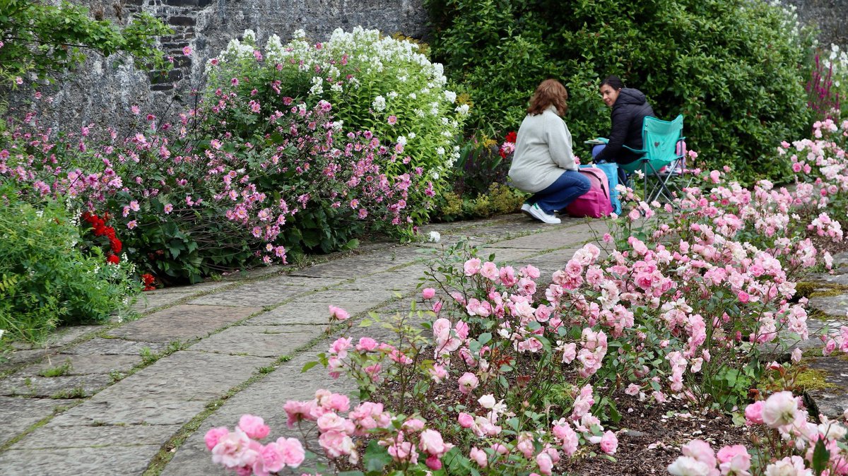 TheTwinTrees's tweet photo. Day 1 of our En Plein Air at Heywood Gardens is complete! 🎨 The rain held off, and our artists captured the garden's beauty. Tomorrow, we paint at Masslough Lake, with a special invite to Julie Ann Kelly's stunning garden. Can’t wait!

#TwinTreesFestival #EnpleinAir #art https://t.co/bGIIXbr8Nc