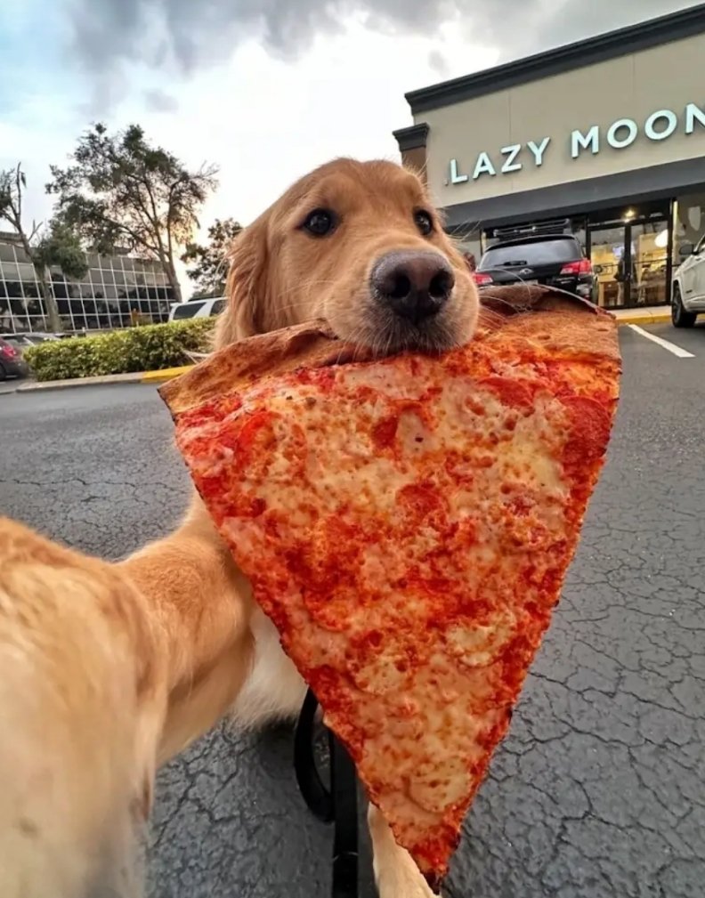 Daniel Not Fake tweet media