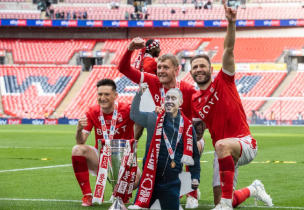 FFSForest tweet media