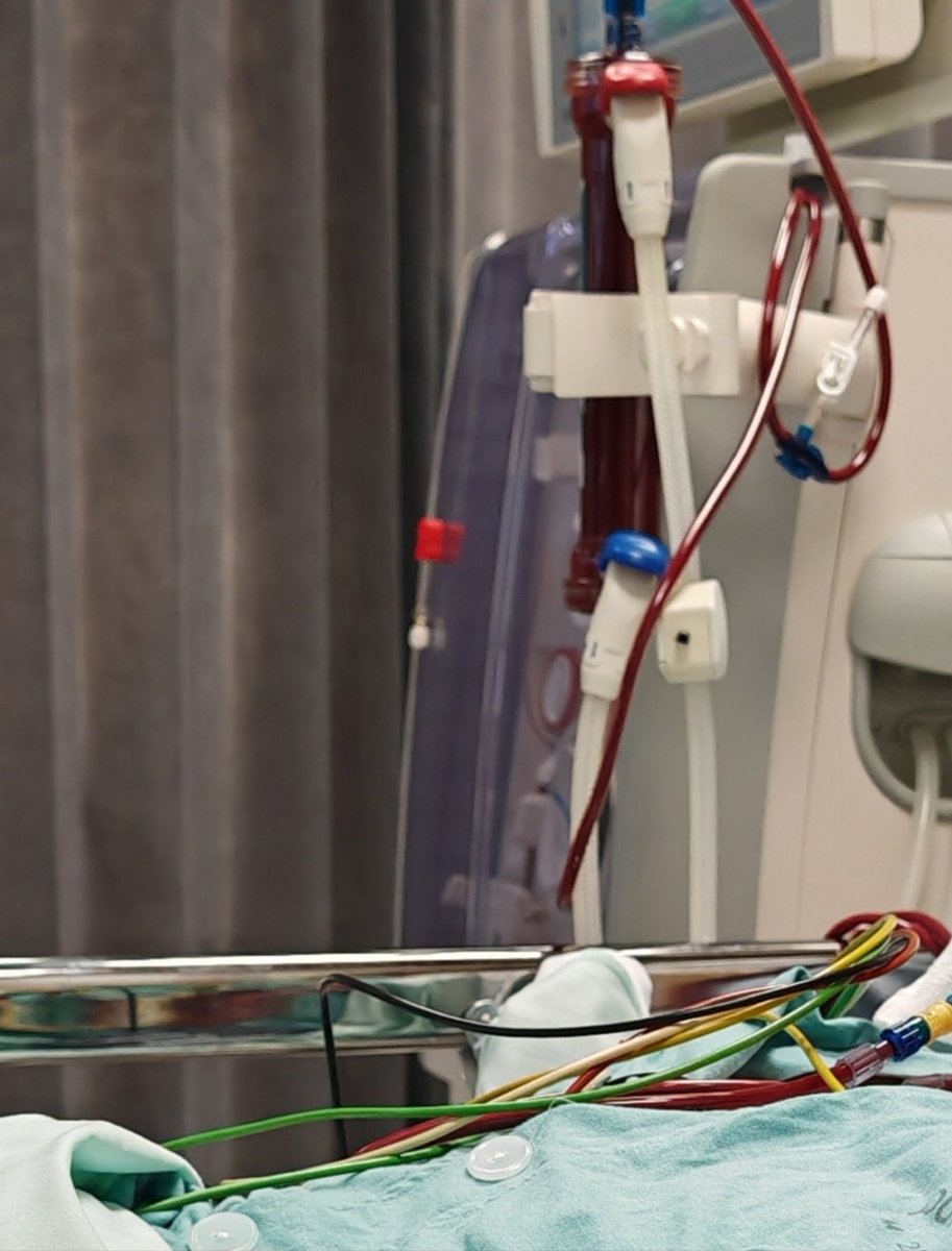 Lena Esborn (@esbornlena) on Twitter photo 