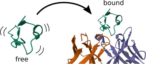 Pamella Carneiro | pamellachem on bluesky (@pamellachem) on Twitter photo Happy to tell you that my master's thesis is just published in The Journal of Physical Chemistry 😄
<a href="/JPhysChem/">The Journal of Physical Chemistry</a> <a href="/AmerChemSociety/">American Chemical Society</a>
Extended Conformational Selection in the Antigen–Antibody Interaction of the PfAMA1 Protein
🔗pubs.acs.org/doi/10.1021/ac… Happy to tell you that my master's thesis is just published in The Journal of Physical Chemistry 😄
<a href="/JPhysChem/">The Journal of Physical Chemistry</a> <a href="/AmerChemSociety/">American Chemical Society</a>
Extended Conformational Selection in the Antigen–Antibody Interaction of the PfAMA1 Protein
🔗pubs.acs.org/doi/10.1021/ac…