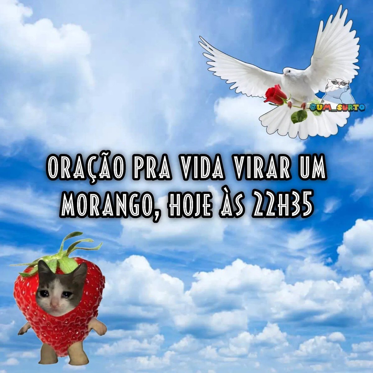 dia 586 de agosto
