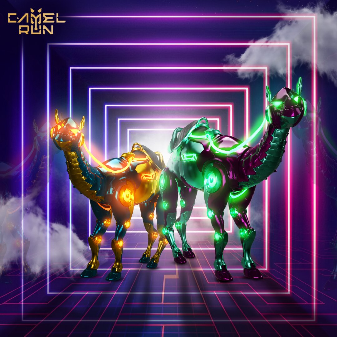 Camel Run tweet media