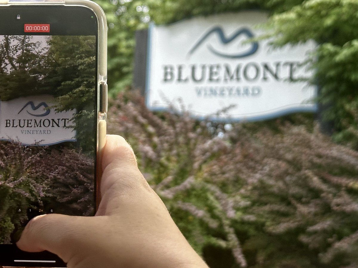 christopher mitchell (@travelingmitch) on Twitter photo If you want gorgeous views of the Loudoun Valley, then heading to Bluemont Vineyard, located on the first ridge of the Blue Ride Mountains in Northern Virginia Wine Country, is a great bet.
<a href="/VisitLoudoun/">Visit Loudoun</a> #LoveLoudoun <a href="/VisitVirginia/">visitvirginia</a> #Virginia If you want gorgeous views of the Loudoun Valley, then heading to Bluemont Vineyard, located on the first ridge of the Blue Ride Mountains in Northern Virginia Wine Country, is a great bet.
<a href="/VisitLoudoun/">Visit Loudoun</a> #LoveLoudoun <a href="/VisitVirginia/">visitvirginia</a> #Virginia