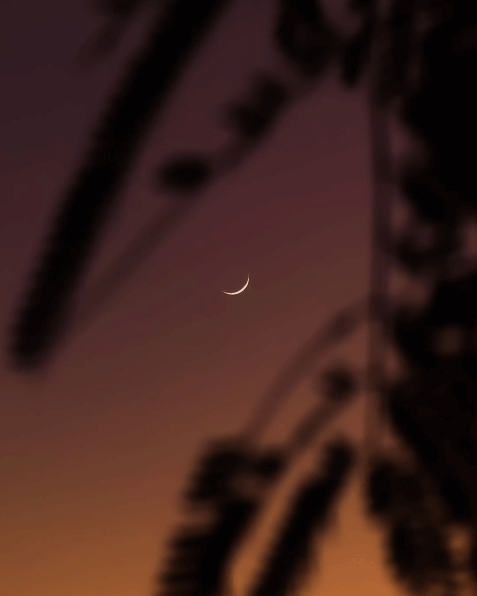 snapdragon_LAT's tweet photo. ¡La luna sonriendo! 🌙

Nuestro Insider, @davi_hcrosa, capturó un increíble atardecer con el realme 12 Pro+ y Snapdragon 7s Gen 2.

¿Tienes fotos así? Etiqueta a @snapdragon_latam en Instagram y usa #ShotOnSnapdragon. ¡Publicamos tus mejores tomas! 🚀 https://t.co/sXPfriEJMY