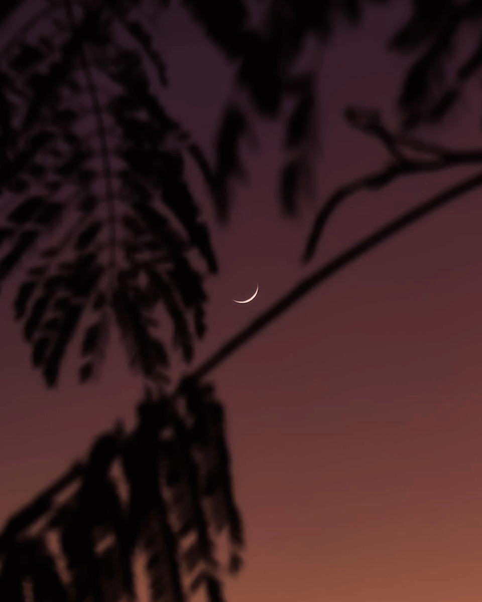 snapdragon_LAT's tweet photo. ¡La luna sonriendo! 🌙

Nuestro Insider, @davi_hcrosa, capturó un increíble atardecer con el realme 12 Pro+ y Snapdragon 7s Gen 2.

¿Tienes fotos así? Etiqueta a @snapdragon_latam en Instagram y usa #ShotOnSnapdragon. ¡Publicamos tus mejores tomas! 🚀 https://t.co/sXPfriEJMY