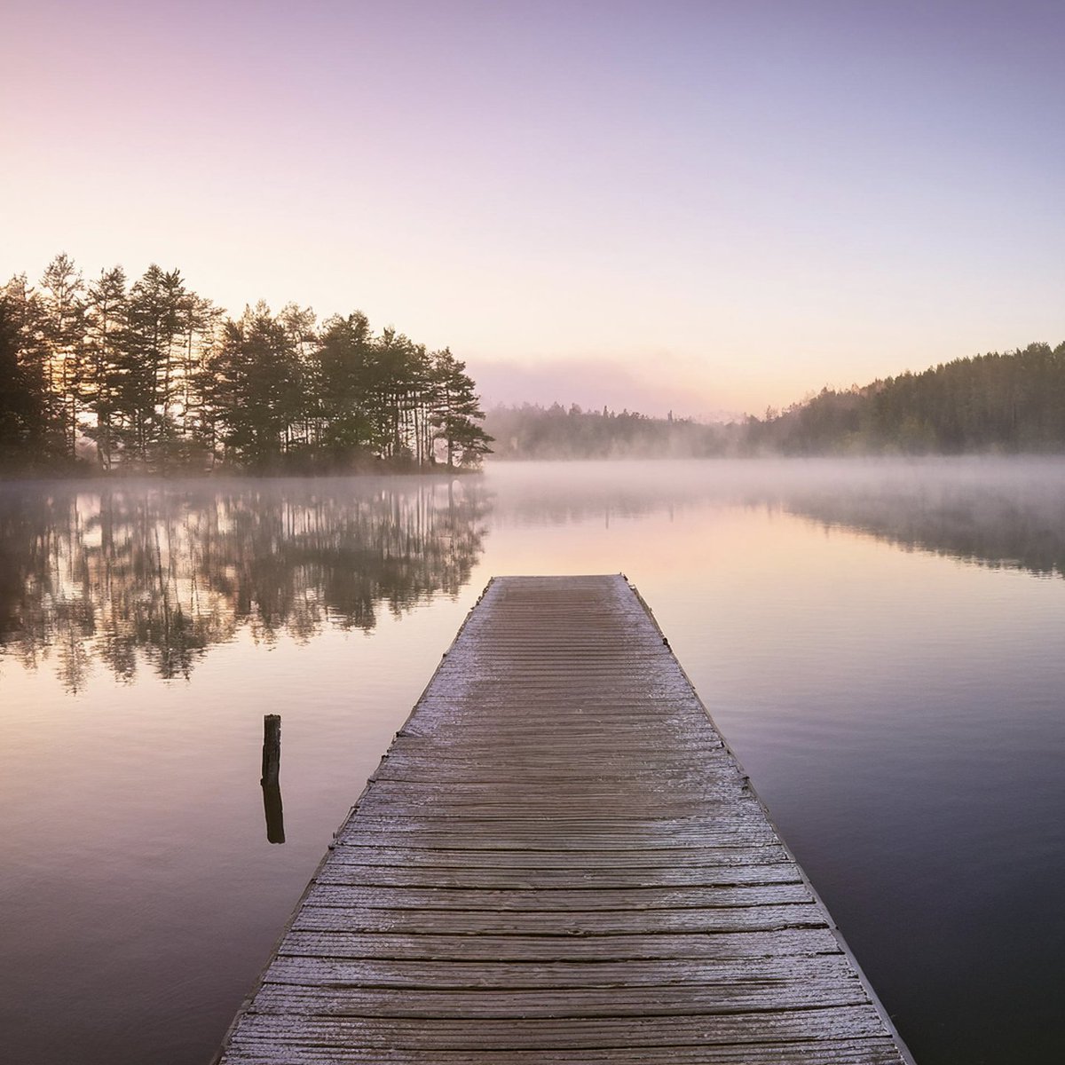 unseenchasm's tweet photo. A misty morning, where the world is quiet and the lake holds its breath. #MorningMist #LakeSerenity #QuietMoments #AI https://t.co/H5H6IkmQHu