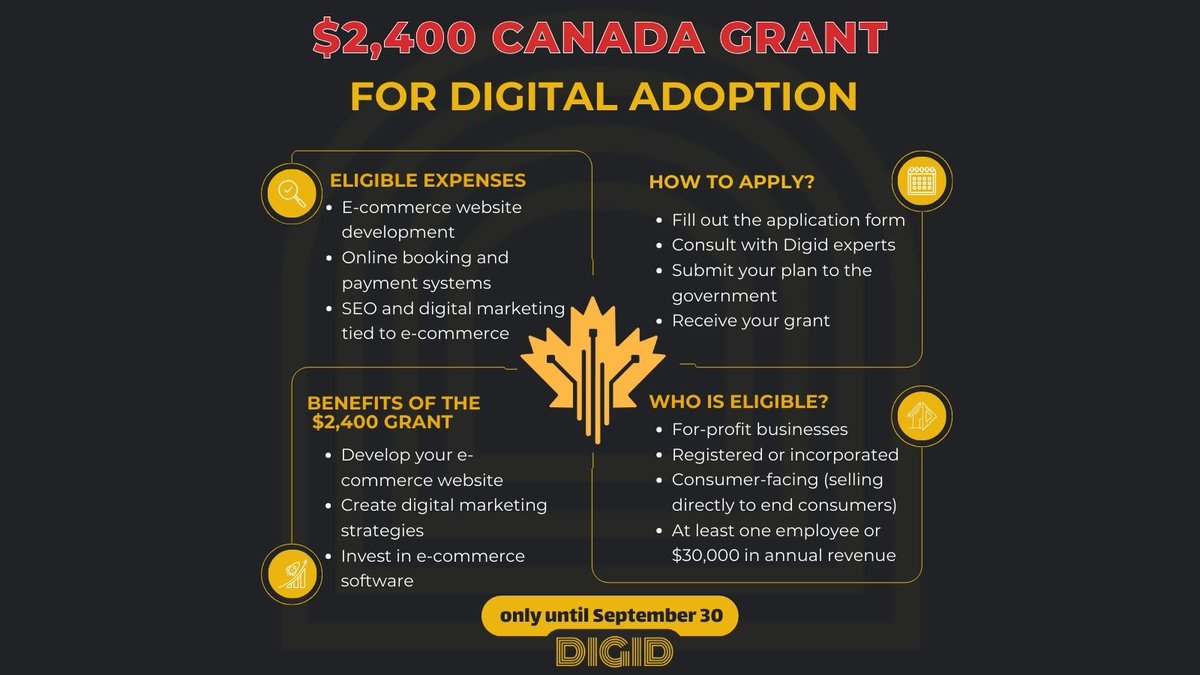 DigidInc's tweet photo. 🚀$2,400 Canada Grant to Grow Your Business!

The Canada Digital Adoption Program is here! Get $2,400 for a new e-commerce website, digital marketing, or e-commerce software. Apply by September 30th! 🗓️

💡Eligibility:
•For-profit businesses
•Registered or incorporated
•Consumer-facing
•1+ employee or $30,000 revenue

If you are eligible, book free sessions with our experts to guide you. 
https://t.co/66at07mDKQ
 
#CanadaGrant #SmallBusiness #Ecommerce #BusinessGrowth #DigitalMarketing