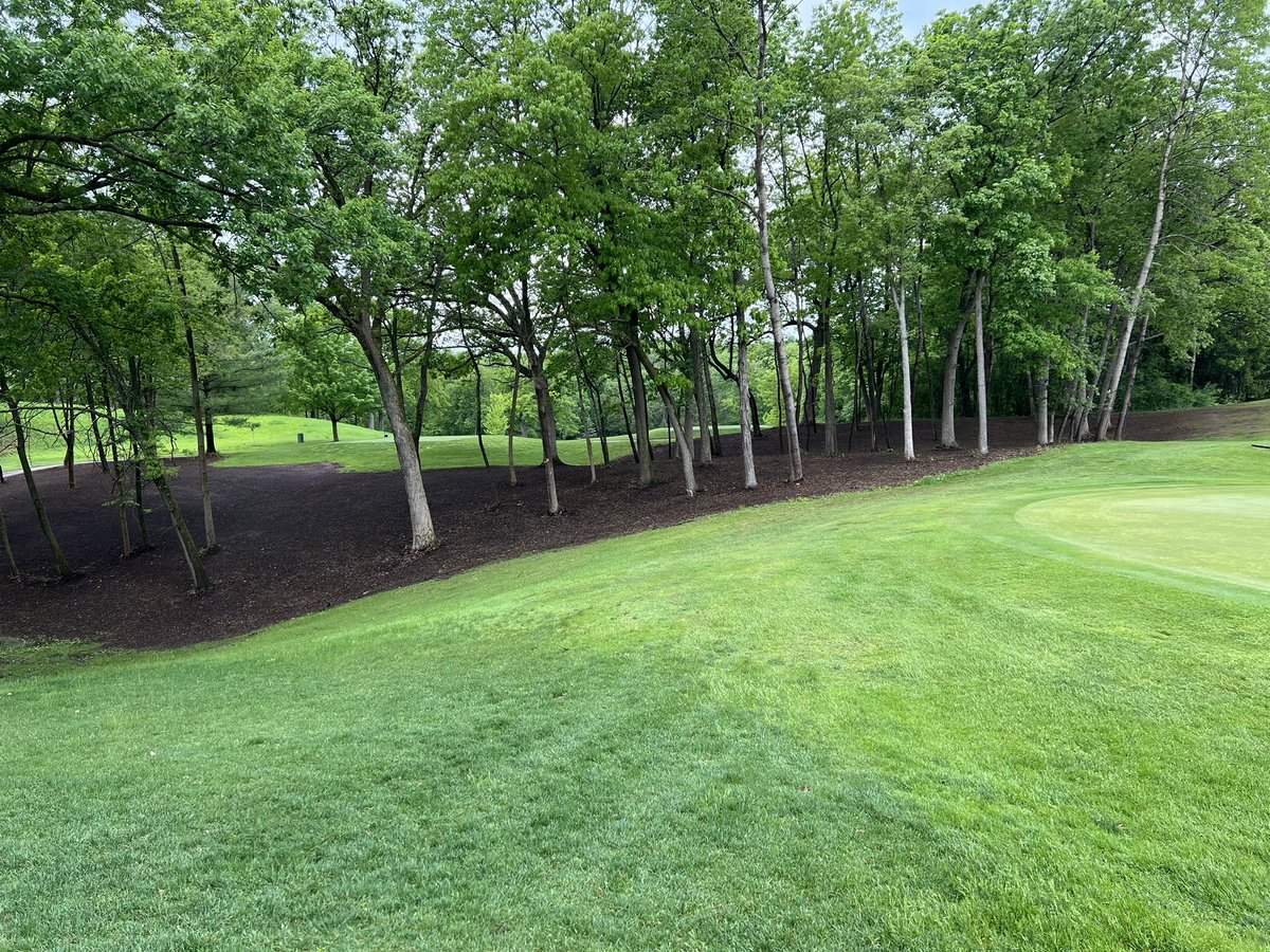 Landmark Seed Company tweet media