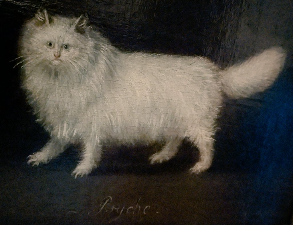 Just the funniest little painting I saw in a historic 17th century property today. 

I give you... Psyche... The totally normal cat