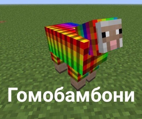 этому аккаунту уже два года и я здесь чтобы сказать, что через три года я не стану таким как скулёжник🫵