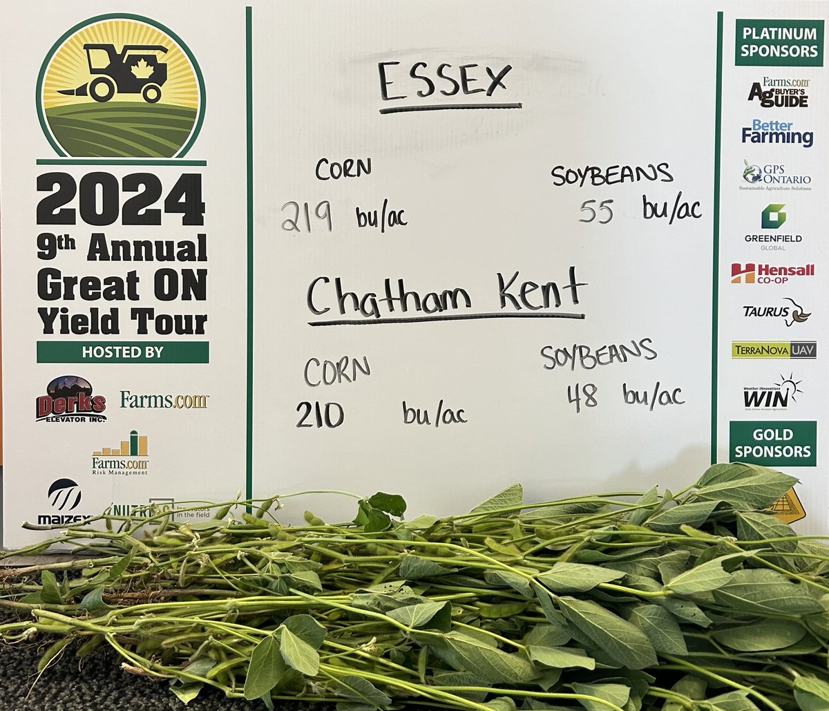 Busy few days doing yield estimates in Chatham Kent and Essex for #onyield24  with <a href="/HDCAgronomy/">Hensall Co-op Agronomy</a> <a href="/sprayman63/">Chuck Belanger</a> <a href="/BrianCoutts/">Brian Coutts</a> <a href="/Maizex/">Maizex Seeds</a>