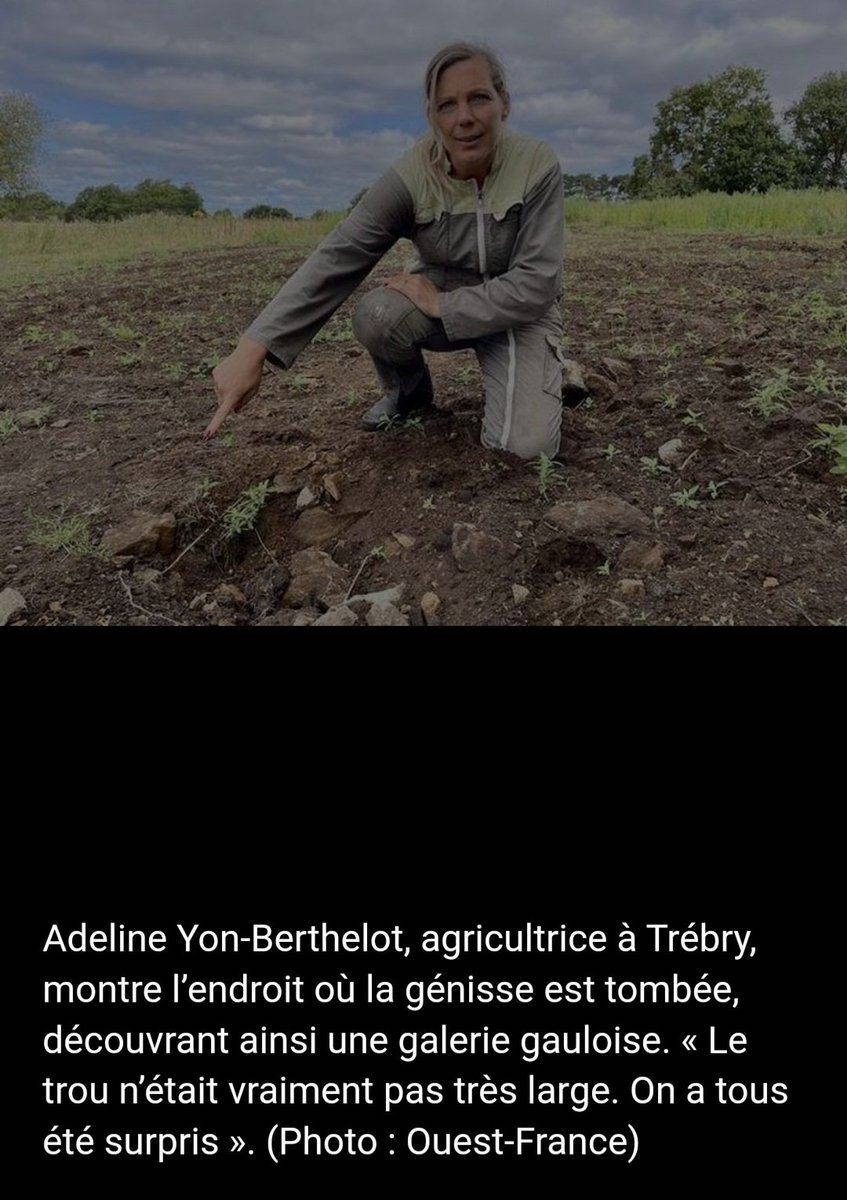 Nous avons perdu une génisse tombée dans un trou qui s'était formé dans le sol sous son poids😪. "Ukraine" a en fait révélé une galerie Gauloise de 2000 ans !😲Malheureusement notre génisse n'a pas survécue mais quelle découverte ! Partagée au grand public par de nombreux médias