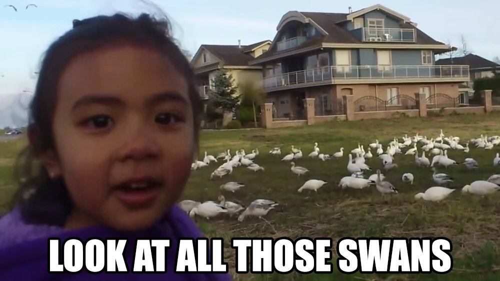 Seeing all of our new friends from Swansea City 🦢