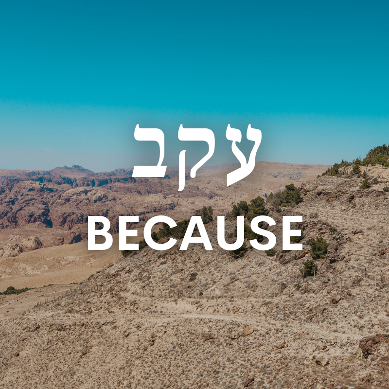 ChosenPeopleUSA's tweet photo. Check out our thoughts on this week's Torah portion! #ChosenPeople #Torah #devotional #Messianic #Parashah #Parashat #Bible #Numbers #Eikev https://t.co/nBYBwRLGPP