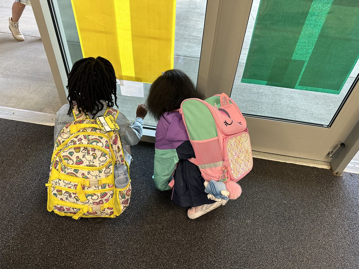 MrsTellier's tweet photo. When a praying mantis shows up on the window before school, the day starts out with excitement! https://t.co/HUFBoyMqO2