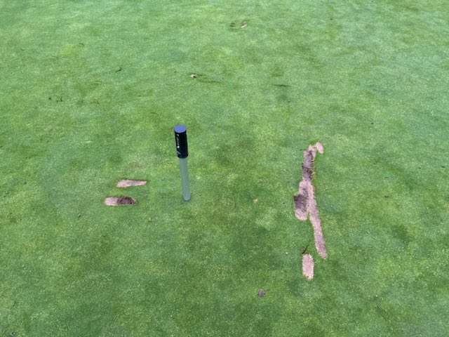 Jfulmer12's tweet photo. Excuse me sir this is a golf ⛳️ green.  Hope they found what they where looking for. #platesofdistruction 
Guess I know what next for this fella… @TerryHillsMaint https://t.co/Ewk2x9cvbG