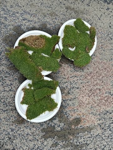 Jfulmer12's tweet photo. Excuse me sir this is a golf ⛳️ green.  Hope they found what they where looking for. #platesofdistruction 
Guess I know what next for this fella… @TerryHillsMaint https://t.co/Ewk2x9cvbG